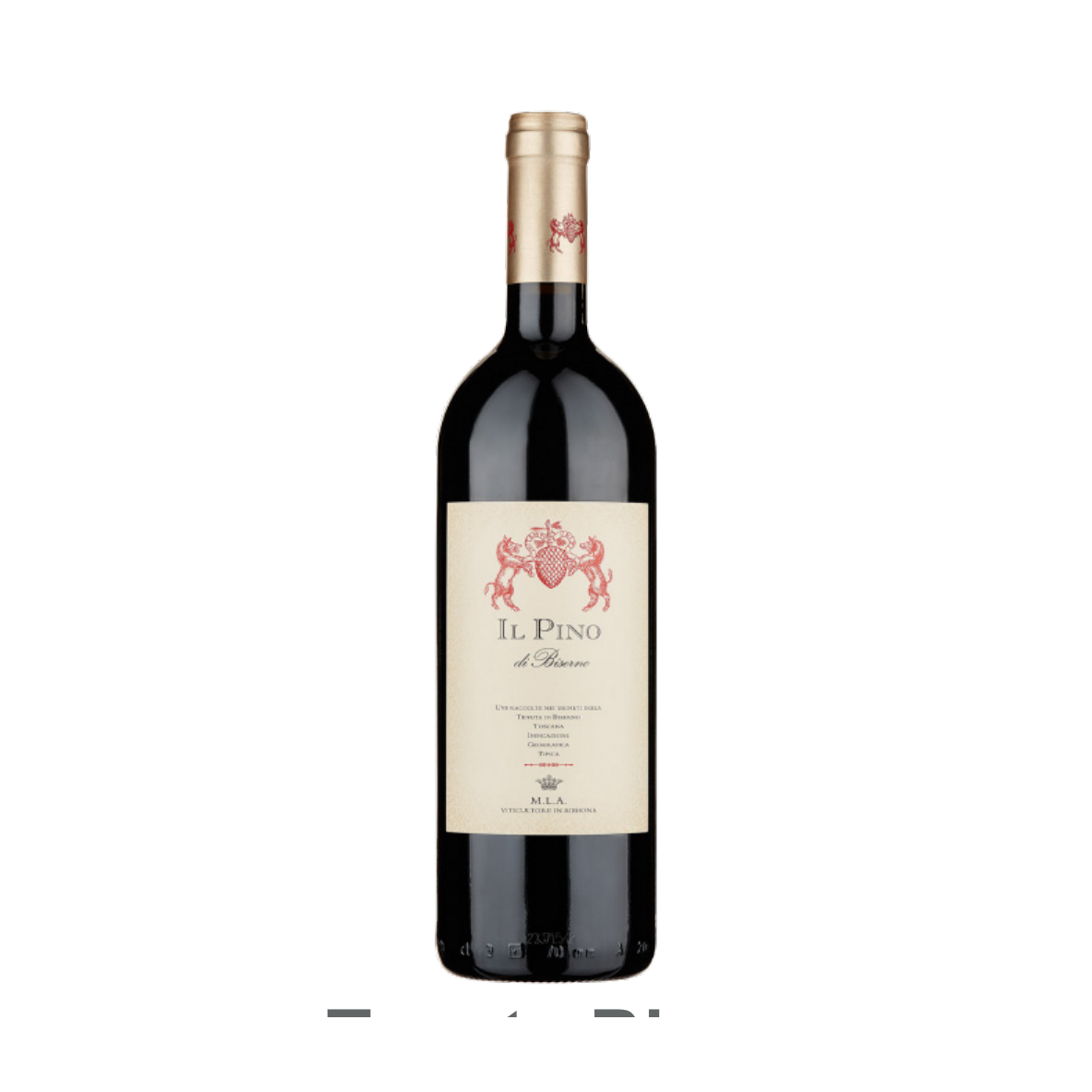 Il Pino di biserno